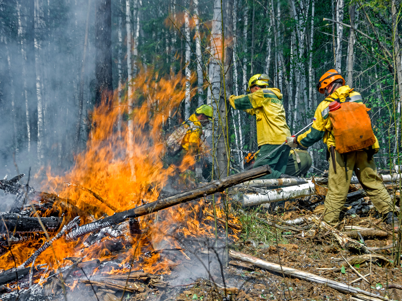 Авиалесоохрана болется с лесным пожаром Красноярский край
