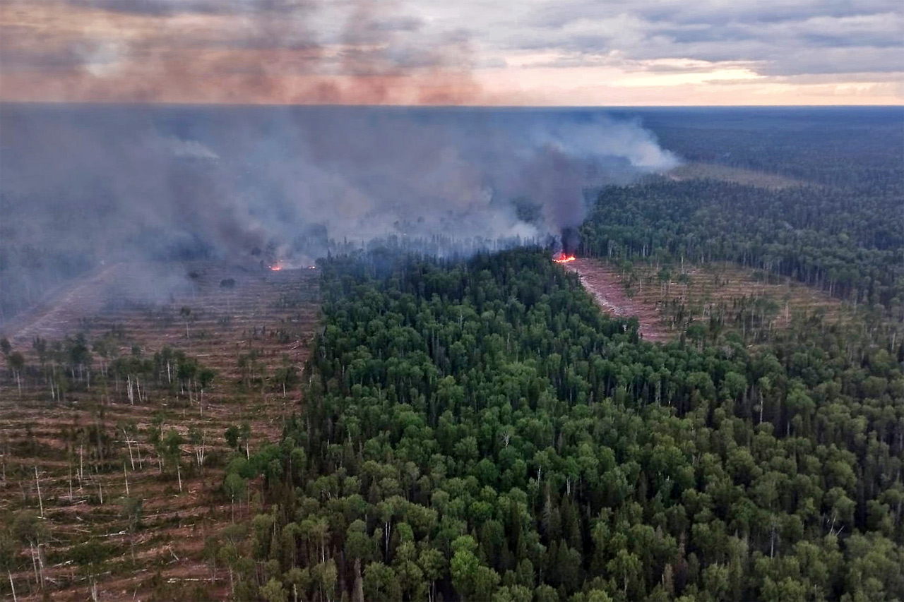 Вырубки и пожар в тайге Красноярскогок края